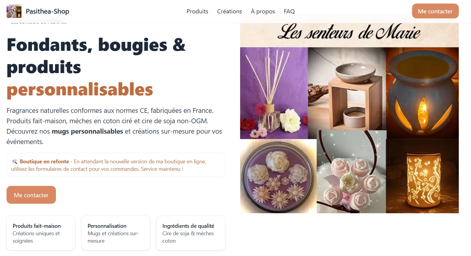 Image du projet pour Pasithea-Shop